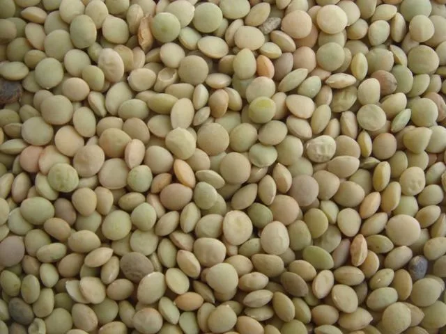 Beans Garbanzo Lentil Peeling Machine Pea Splitting Into Flour Milling Line Processing and Packaging Nigeria