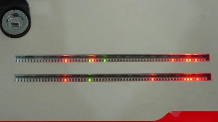 직업적인 LED 밥 색깔 분류하는 사람 색깔 정미 기계를 분류하는