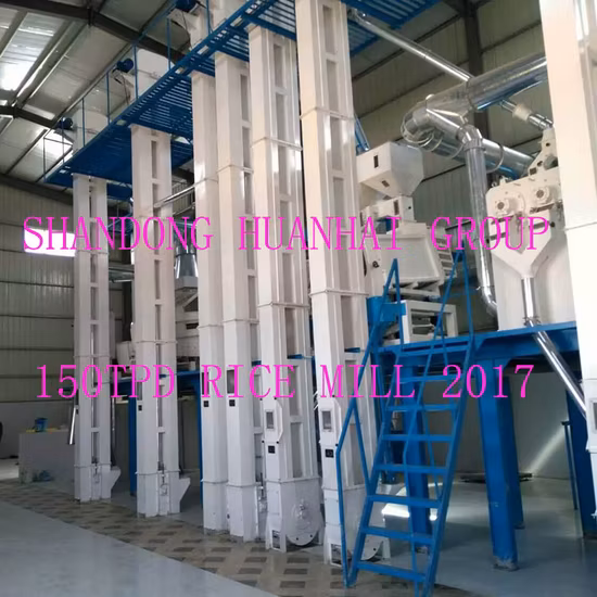 30tpd 50tpd 100tpd 200tpd 300tpd 400tpd 완전미미